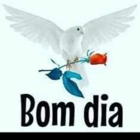 Meet your Posher, Pat - Picture 1 of 1